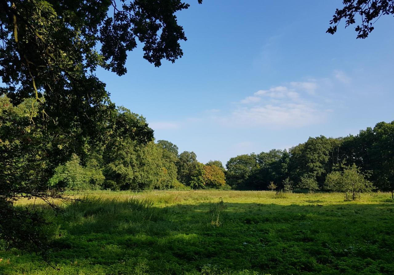 Wohlfuehloase Am Bad Zwischenahner Meer Exteriör bild